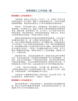 财务部新人工作总结5篇