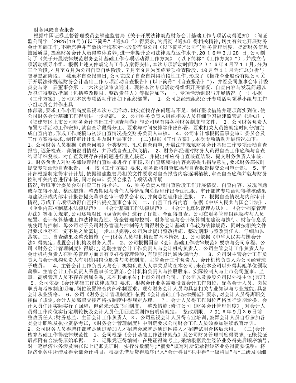 财务风险自查报告_第1页