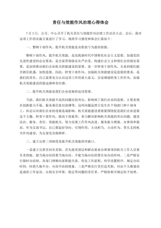 责任与效能作风治理心得体会