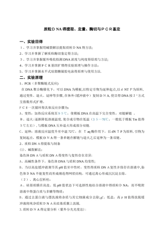 质粒DNA的提取、定量、酶切与PCR鉴定实验报告