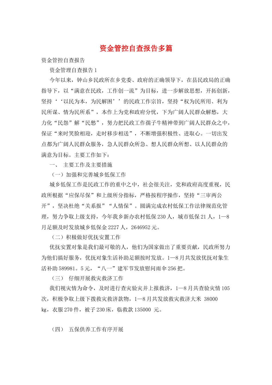 资金管控自查报告多篇_第1页