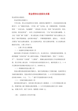 资金管控自查报告多篇
