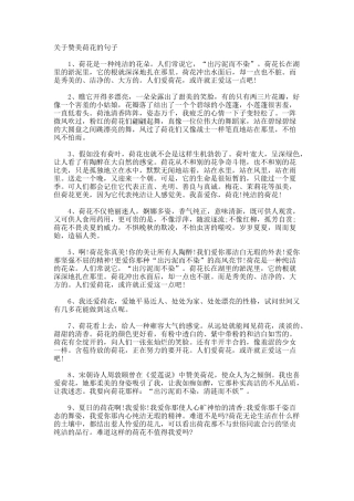 赞美荷花的句子