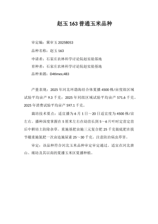 赵玉163普通玉米品种