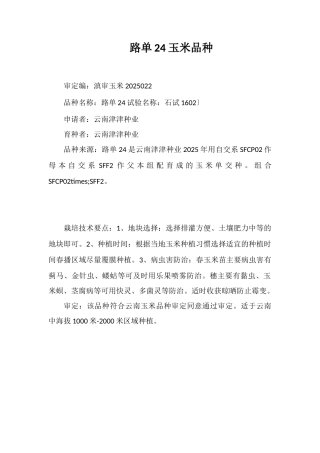 路单24号玉米品种