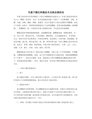 车厘子矮化种植技术及病虫害防治
