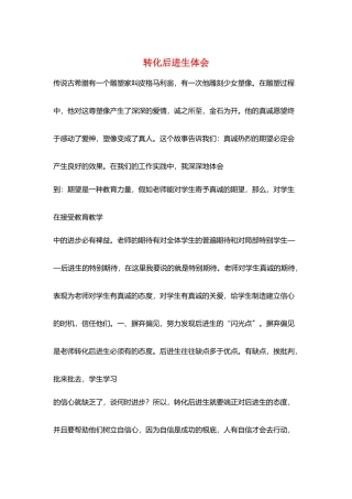转化后进生体会