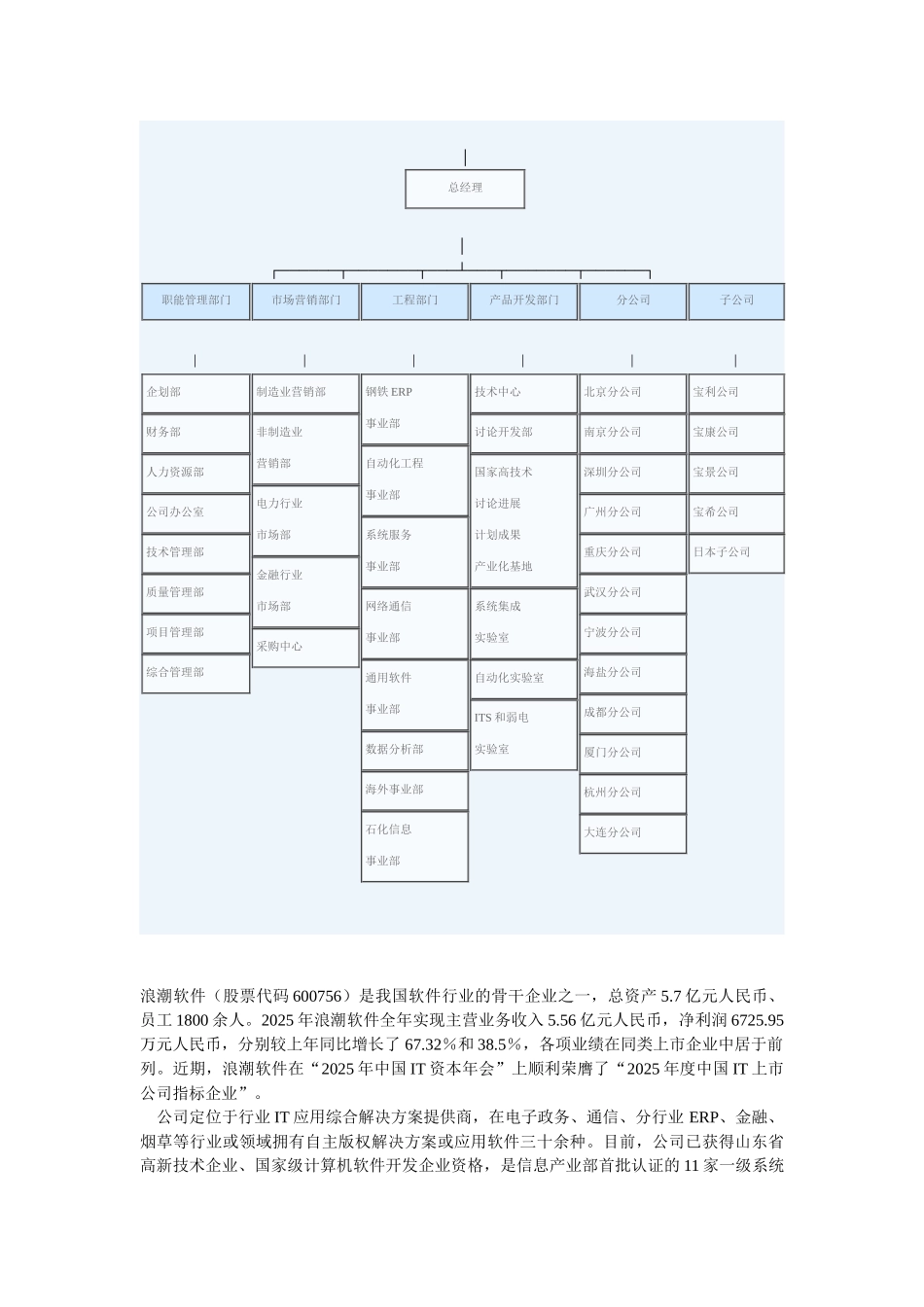 软件上市公司组织结构10多个案例分析_第2页