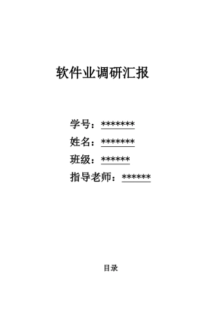 软件业调研分析报告
