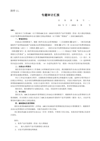 软件企业专项审计综合报告范本