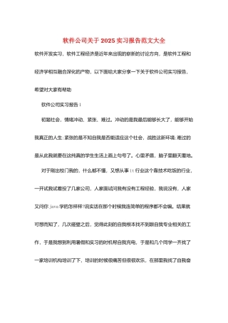 软件公司关于2025实习报告范文大全
