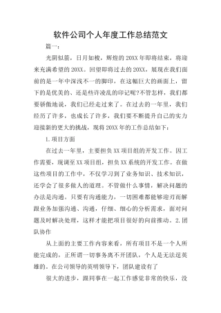 软件公司个人年度工作总结范文