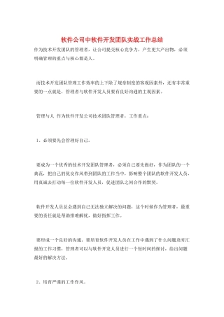 软件公司中软件开发团队实战工作总结