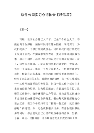 软件公司实习心得体会