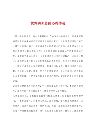 软件实训总结心得体会