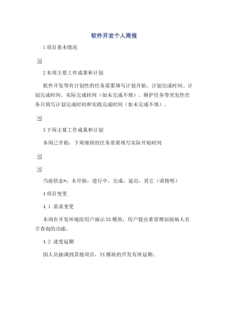 软件开发个人周报