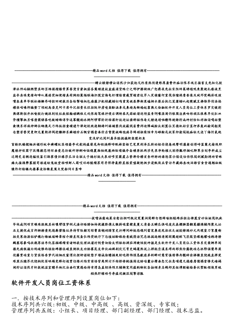 软件开发人员岗位工资体系_第1页