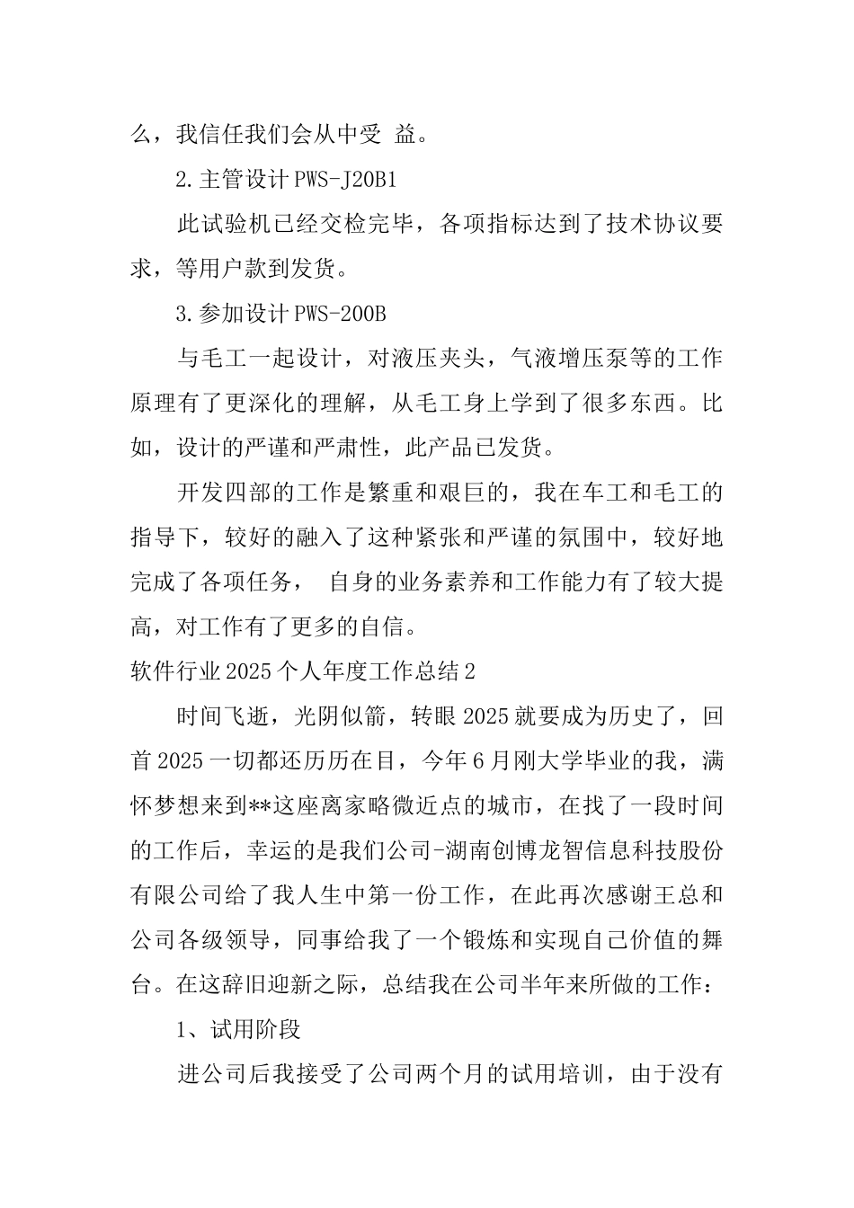 软件行业2025个人年度工作总结_第2页