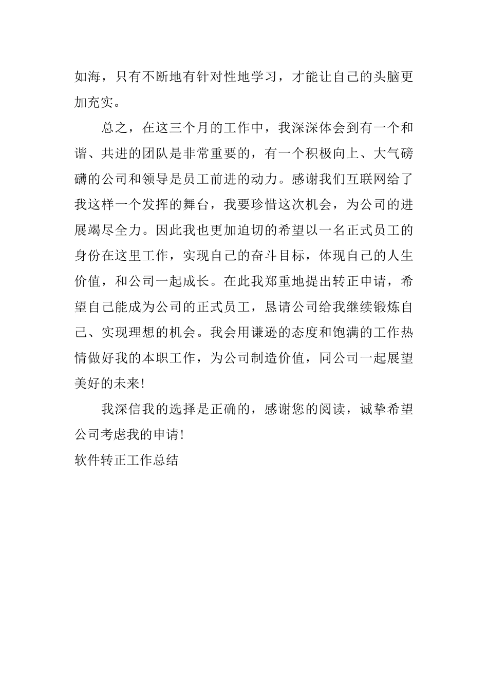 软件转正工作总结_第3页