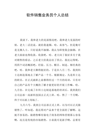 软件销售业务员个人总结-