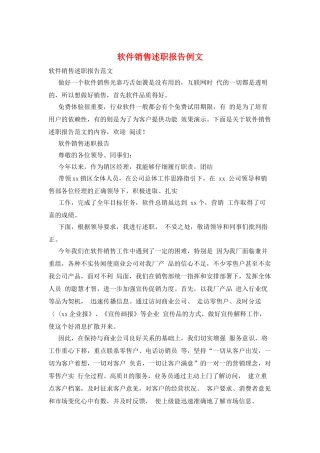 软件销售述职报告例文