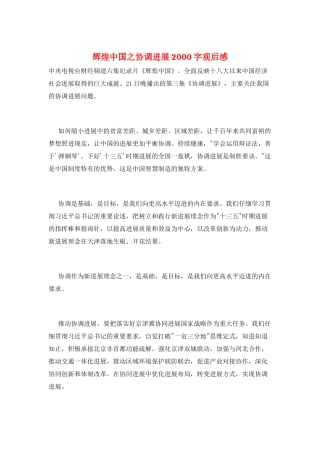 辉煌中国之协调发展2000字观后感