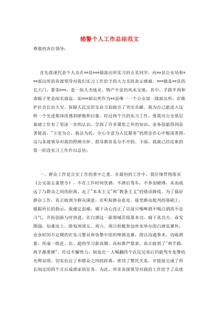 辅警个人工作总结范文