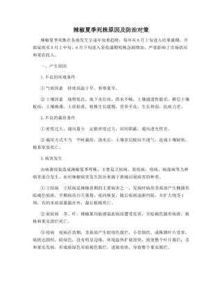 辣椒夏季死株原因及防治对策