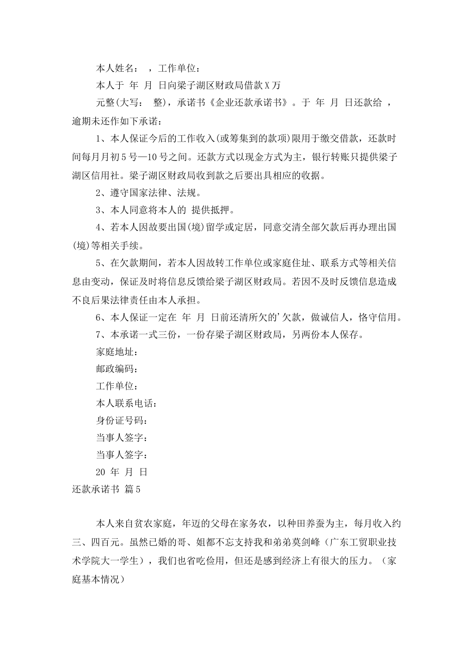 还款承诺书模板八篇_第3页