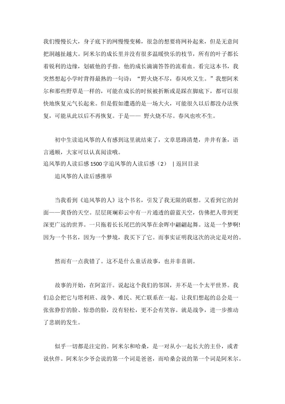 追风筝的人读后感_第3页