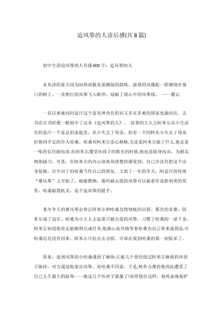 追风筝的人读后感