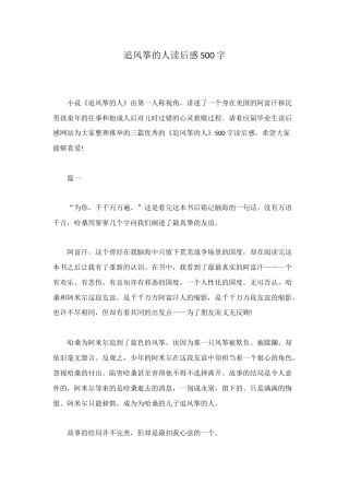 追风筝的人读后感500字