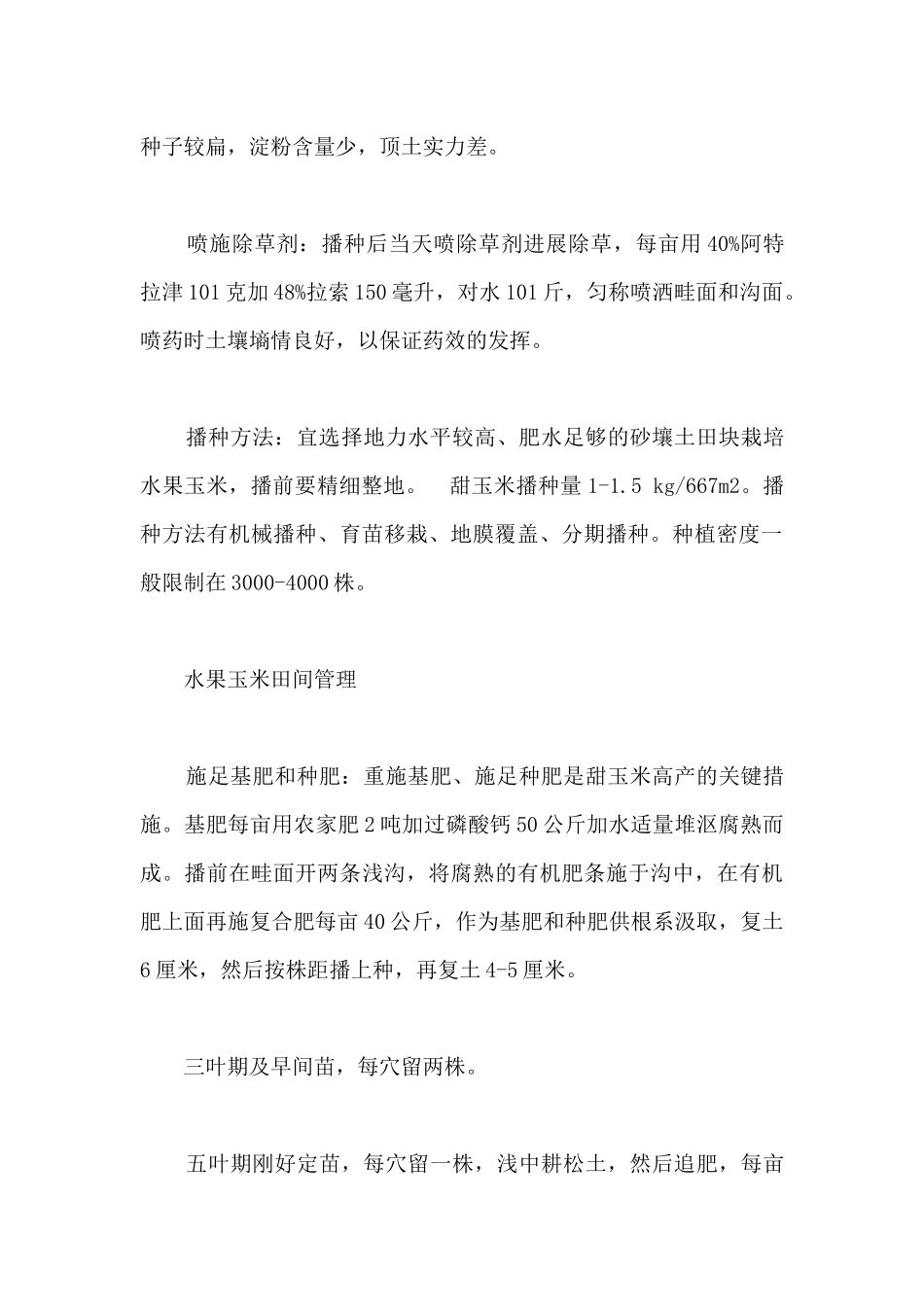 适合水果玉米种植的时间及方法_第3页