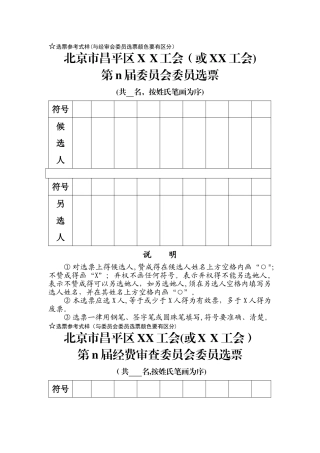 选票及统计单式样
