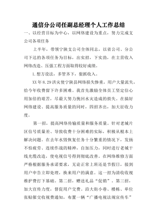 通信分公司任副总经理个人工作总结