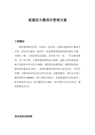 通信大楼项目管理方案