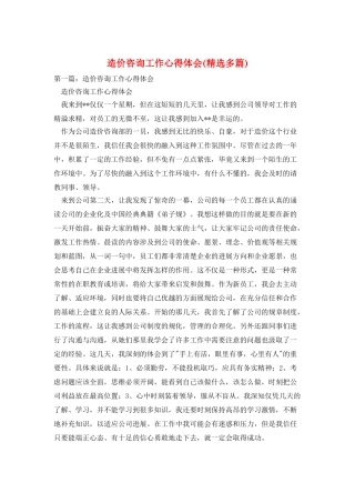 造价咨询工作心得体会