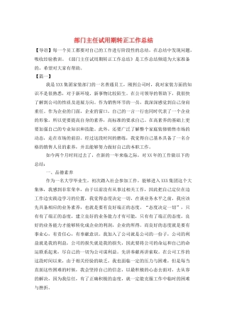 部门主任试用期转正工作总结