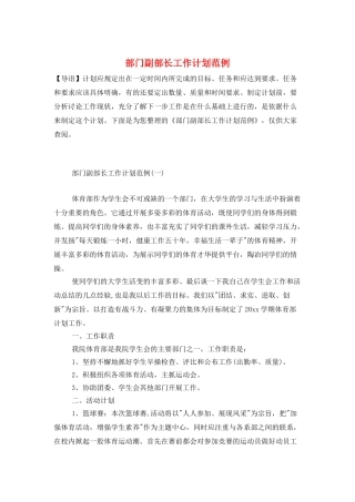 部门副部长工作计划范例