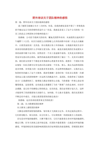 野外培训关于团队精神的感悟