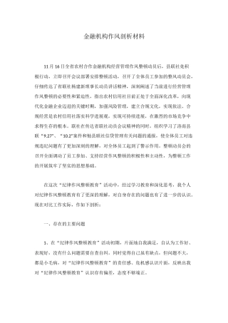 金融机构作风剖析材料