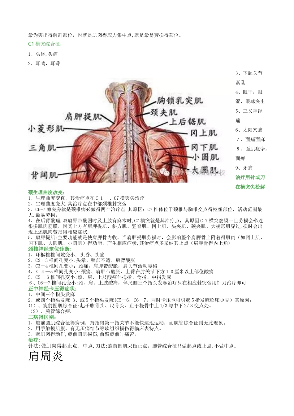针刀常见的松解部位定位方法_第3页
