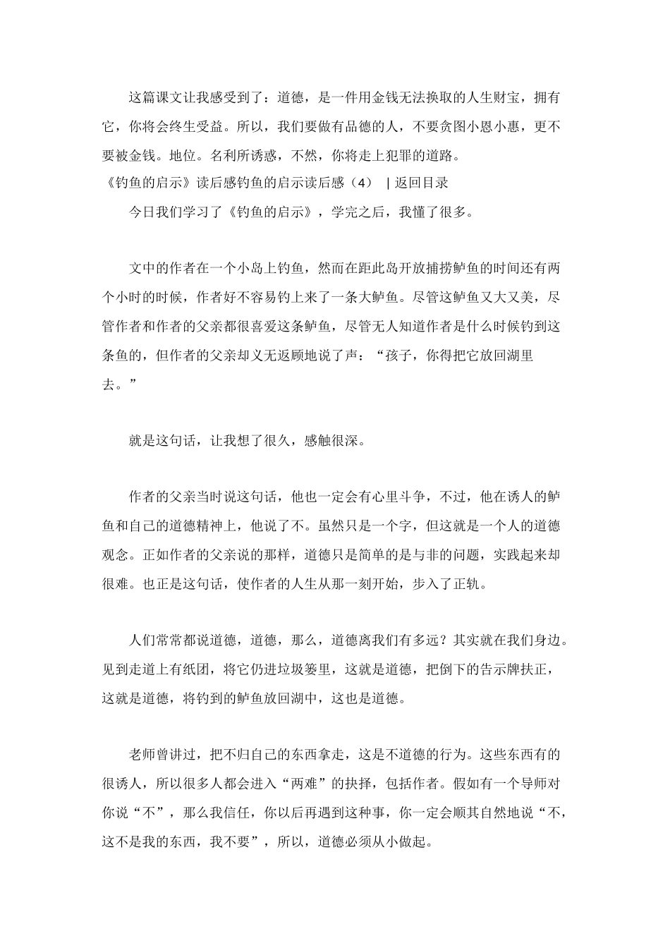 钓鱼的启示读后感_第3页