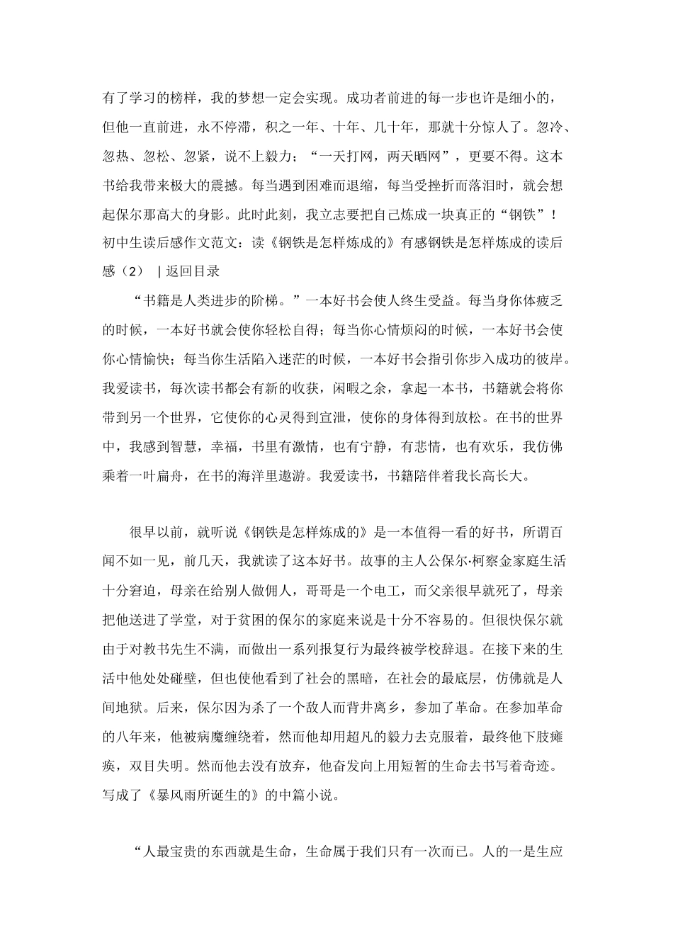 钢铁是怎样炼成的读后感_第2页