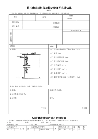 钻孔灌注桩桩-表格