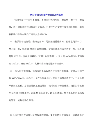 铁扫帚的间作套种和优良品种选择