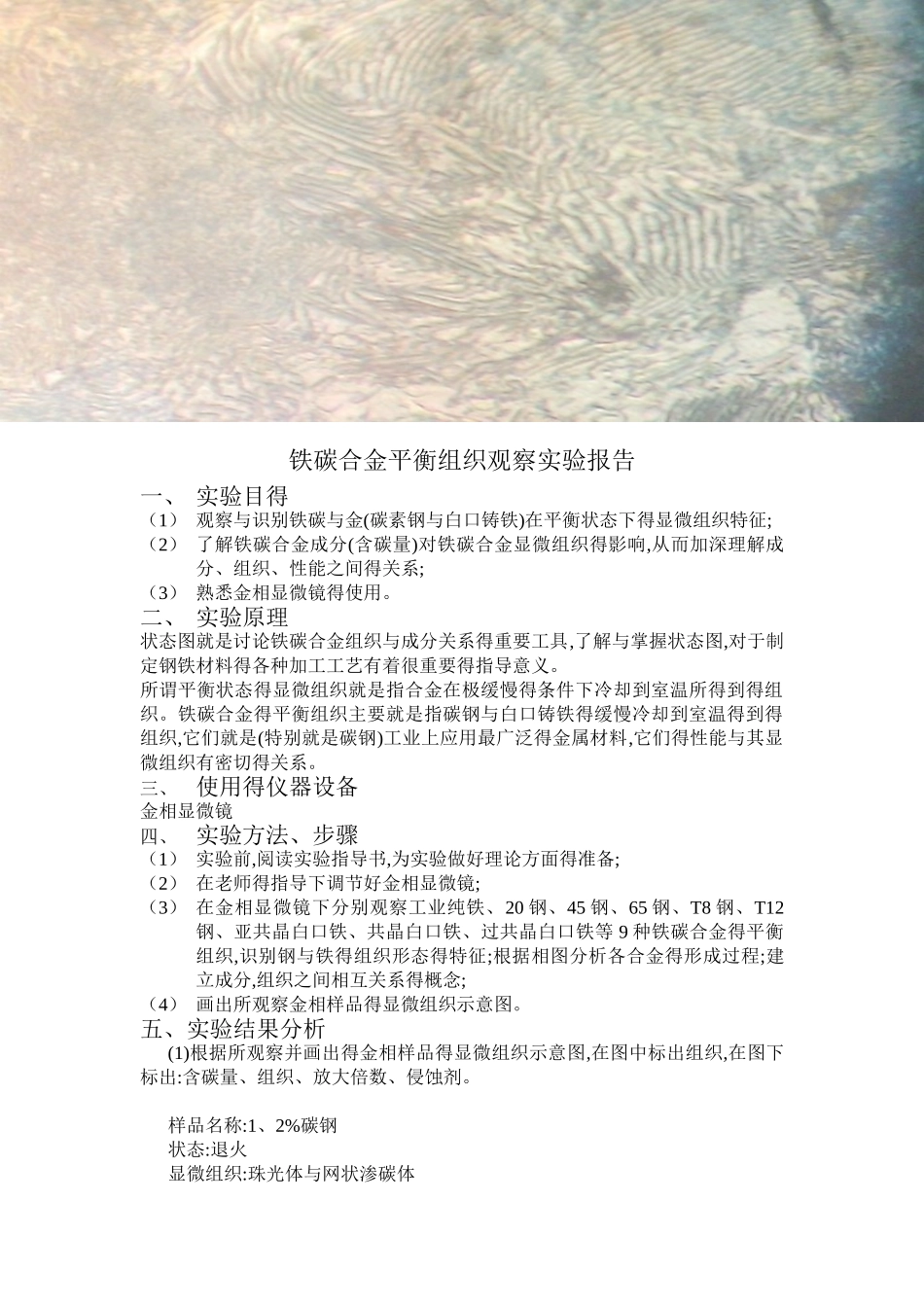 铁碳合金平衡组织观察实验报告_第1页