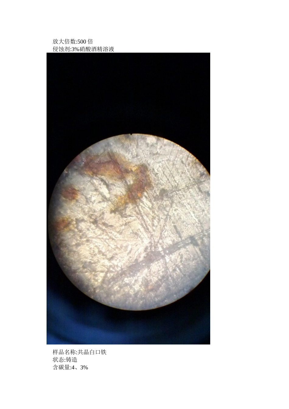 铁碳合金平衡组织观察实验报告_第2页