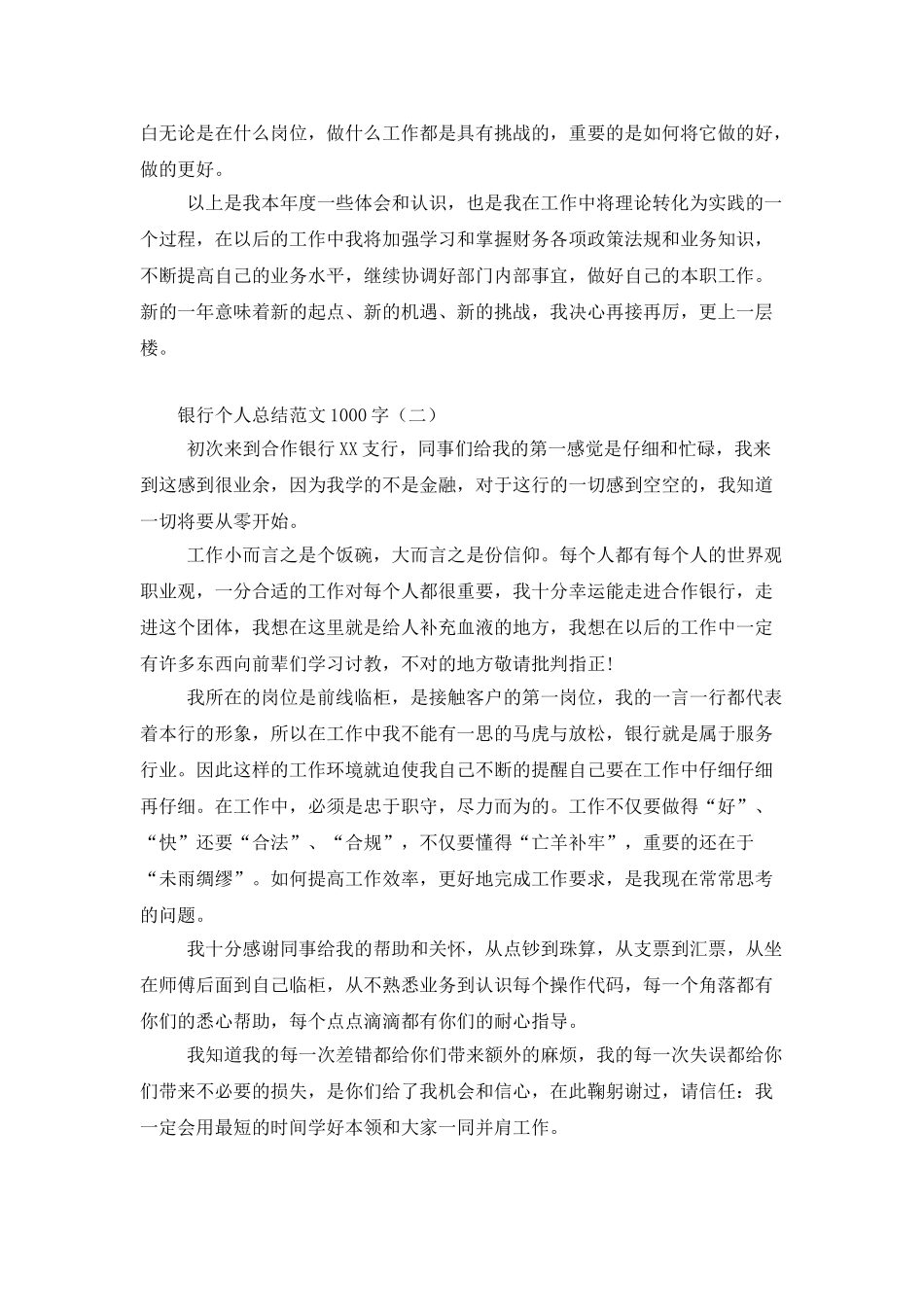 银行个人总结范文1000字_第2页