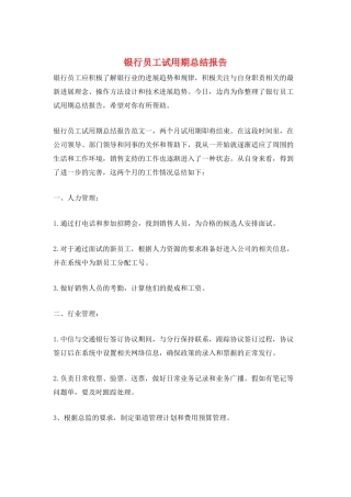 银行员工试用期总结报告